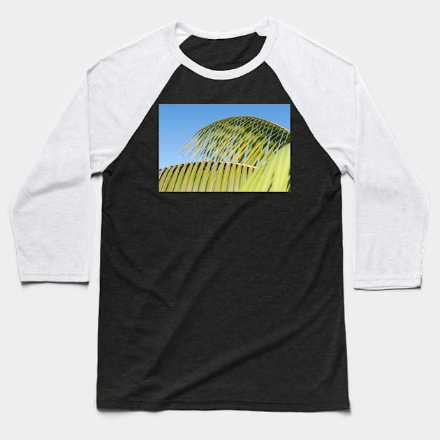 Palm frond detail against sky Baseball T-Shirt by brians101